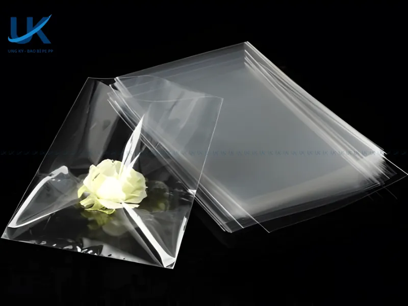 diem-khac-nhau-giua-tui-pe-va-tui-pp-3