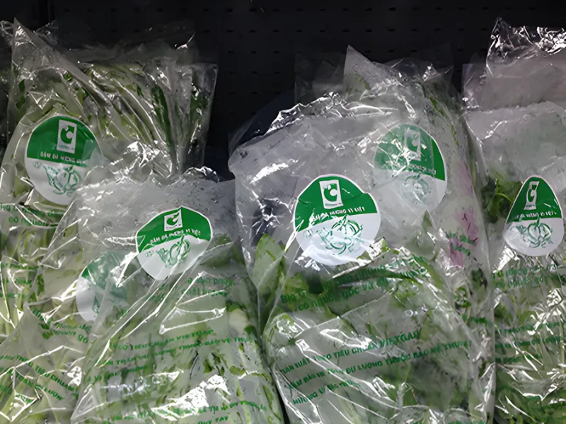 diem-khac-nhau-giua-tui-pe-va-tui-pp-5