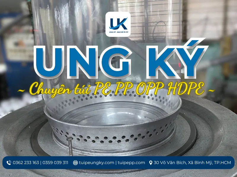 Ly-do-tui-PE-dan-mieng-duoc-ua-chuong-10