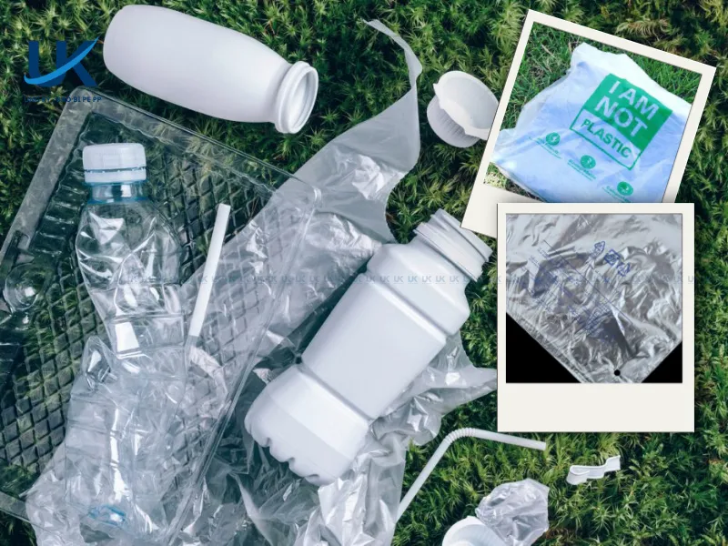 So-sanh-nhua-tu-huy---nhua-sinh-hoc---nhua-tai-che-2