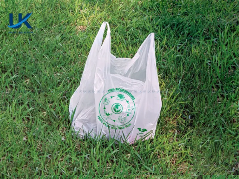 So-sanh-nhua-tu-huy---nhua-sinh-hoc---nhua-tai-che-3