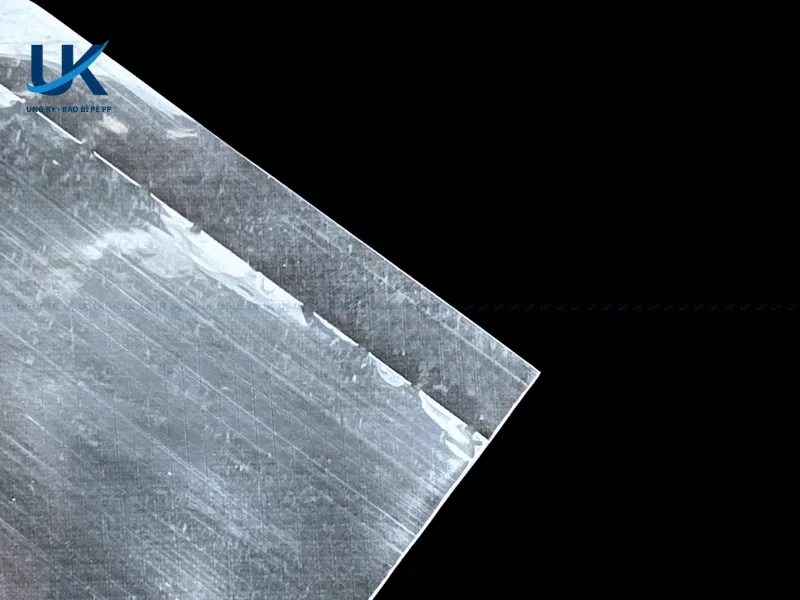 Tui-OPP-mieng-bang-6x5.7cm-11