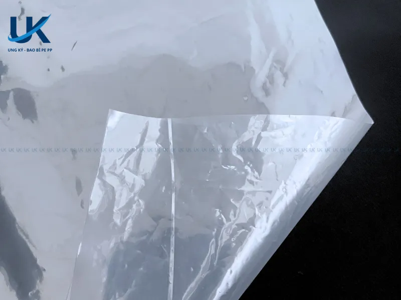 Tui-PE-mieng-bang-38.7x44.5cm-8