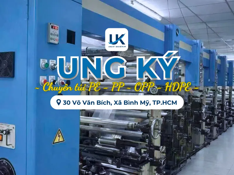 Tui-PE-mieng-bang-in-2-mat-24x33cm-14