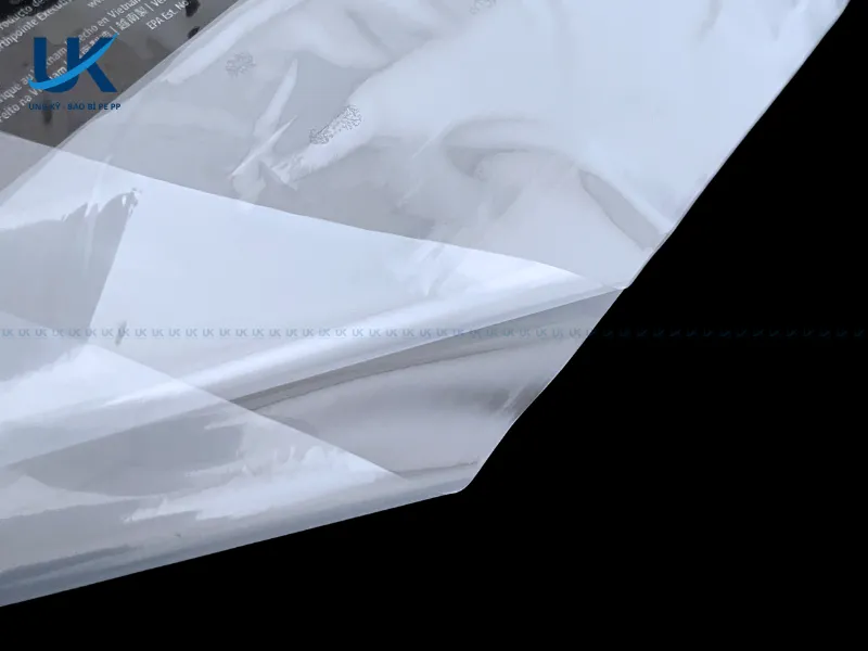 Tui-PE-mieng-bang-in-2-mat-38x41cm-8