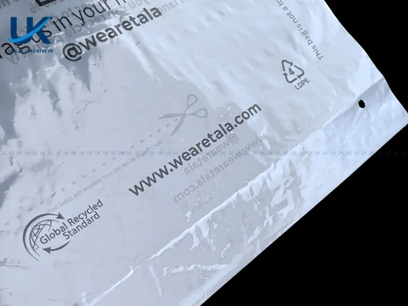 Tui-PE-mieng-dan-in-2-mat-30x45x5cm-12