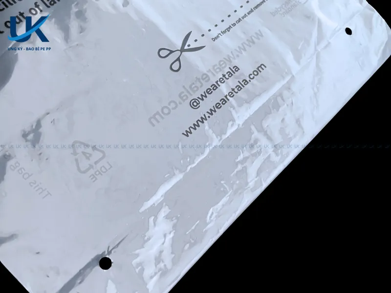 Tui-PE-mieng-dan-in-2-mat-30x45x5cm-7