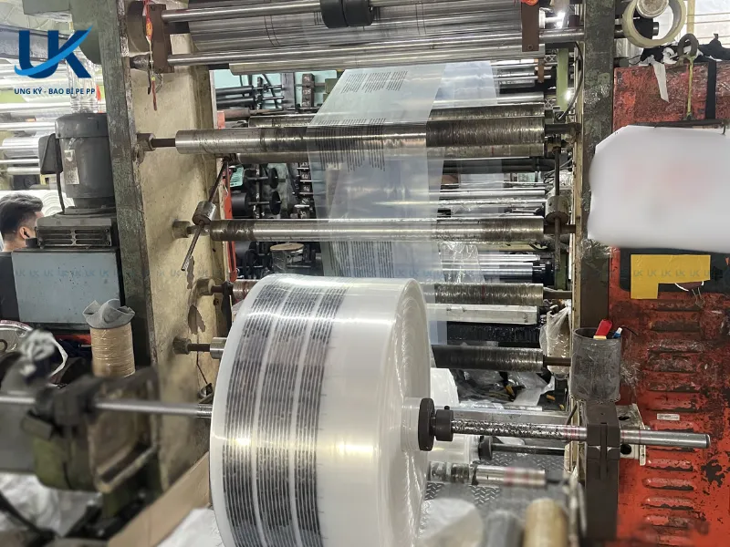 Tui-PE-mieng-dan-tai-che-in-2-mat-11