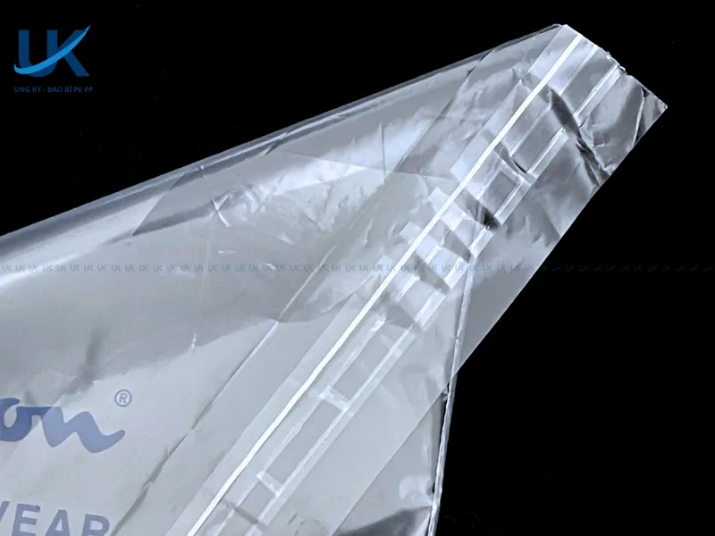 Tui-PE-tai-che-mieng-dan-champion-11