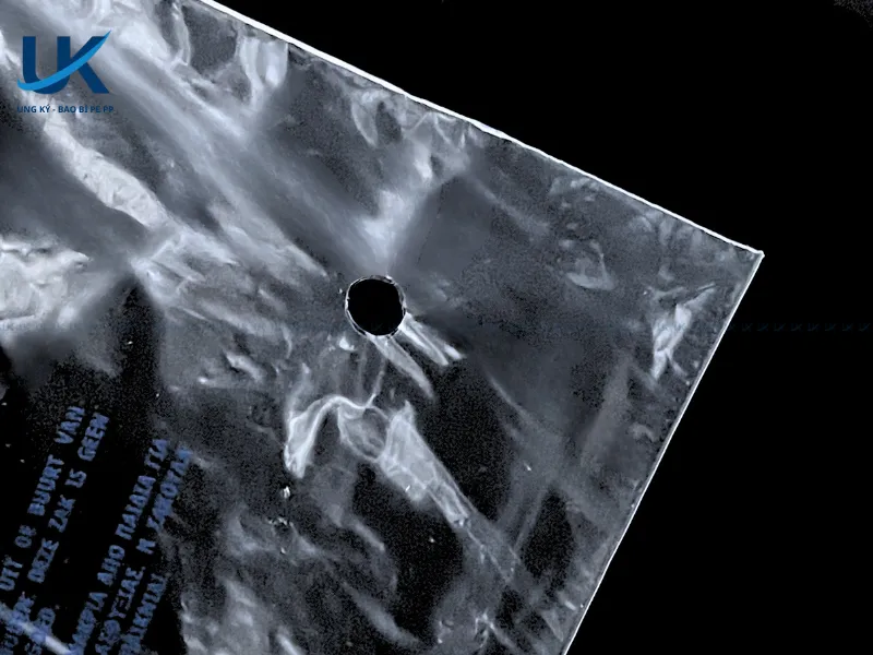 Tui-PE-tai-che-mieng-dan-champion-12