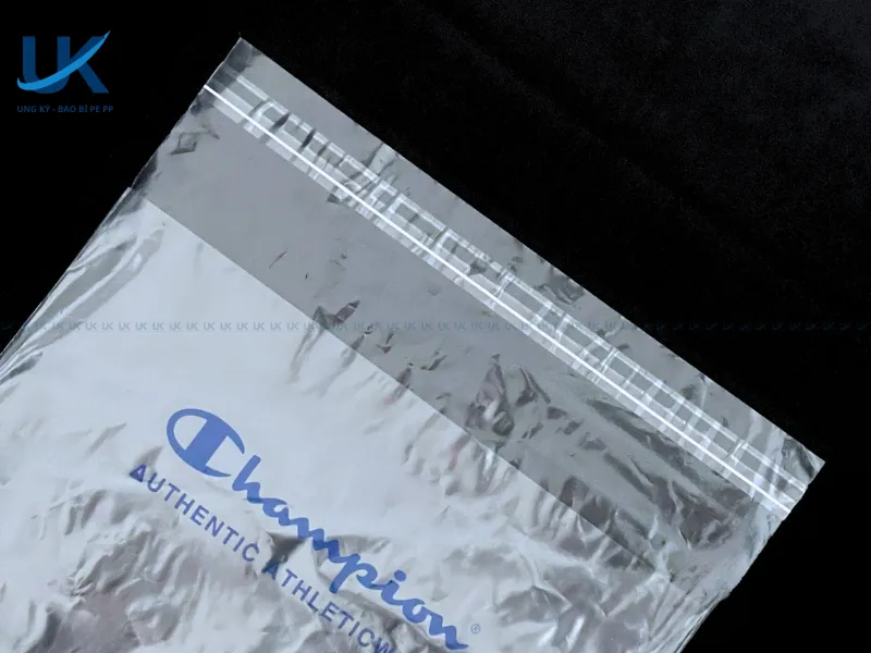 Tui-PE-tai-che-mieng-dan-champion-8