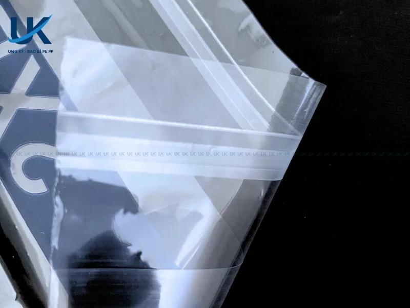 Tui-PP-mieng-dan-in-mau-xanh-28.5x36x4.5cm-8