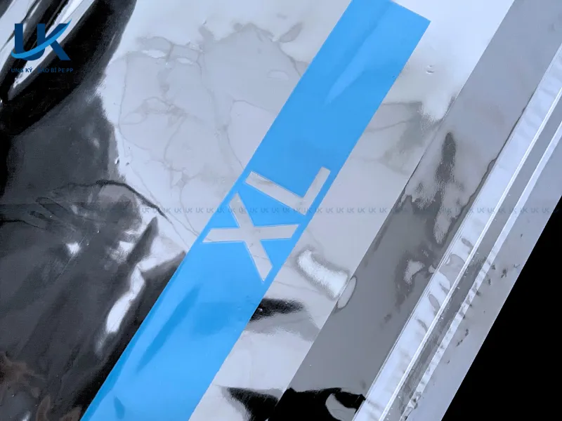 Tui-PP-mieng-dan-in-mau-xanh-duong-28.5x36x4.5cm-6