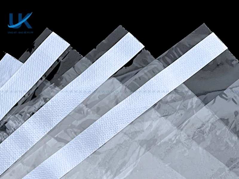 Tui-niem-phong-trong-suot-28x32x3.7cm-8