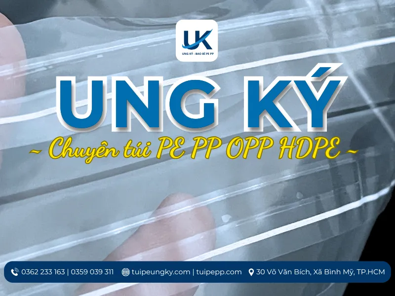 Tui-PE-dan-mieng-2-duong-keo-33x38.5x6.5cm-15