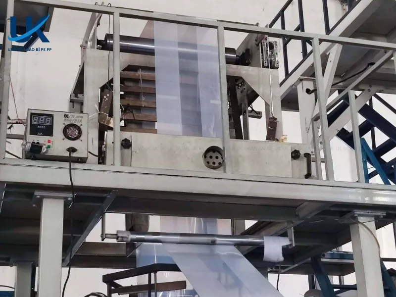 tui-pe-in-xep-hong-12