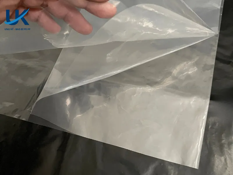 tui-pe-in-xep-hong-5