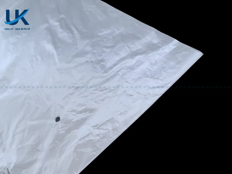 Tui-PE-mieng-bang-in-1-mat-duc-lo-60x82cm-14