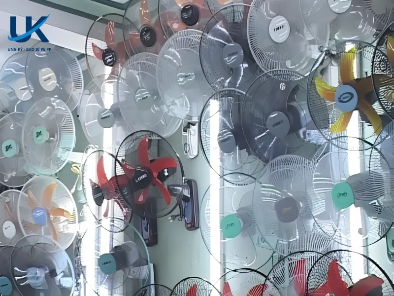 tui-pp-long-quat-may-11