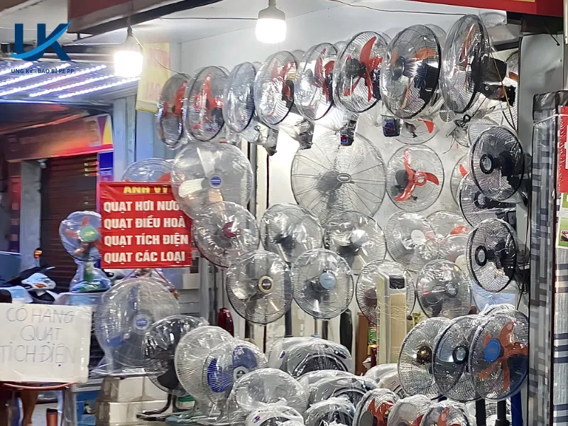 tui-pp-long-quat-may-12