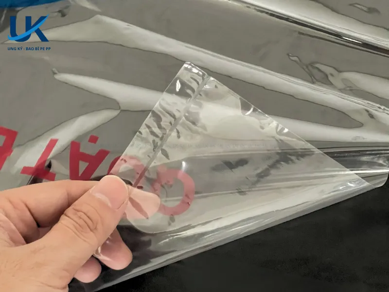 tui-pp-long-quat-may-5