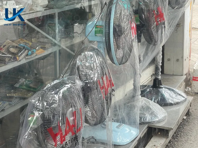 tui-pp-long-quat-may-9